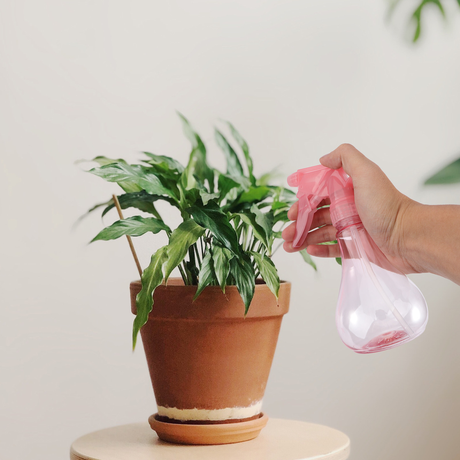 1Set Mini Succulent Planting T - Gardening Tools And Accessories ulasan dan harga