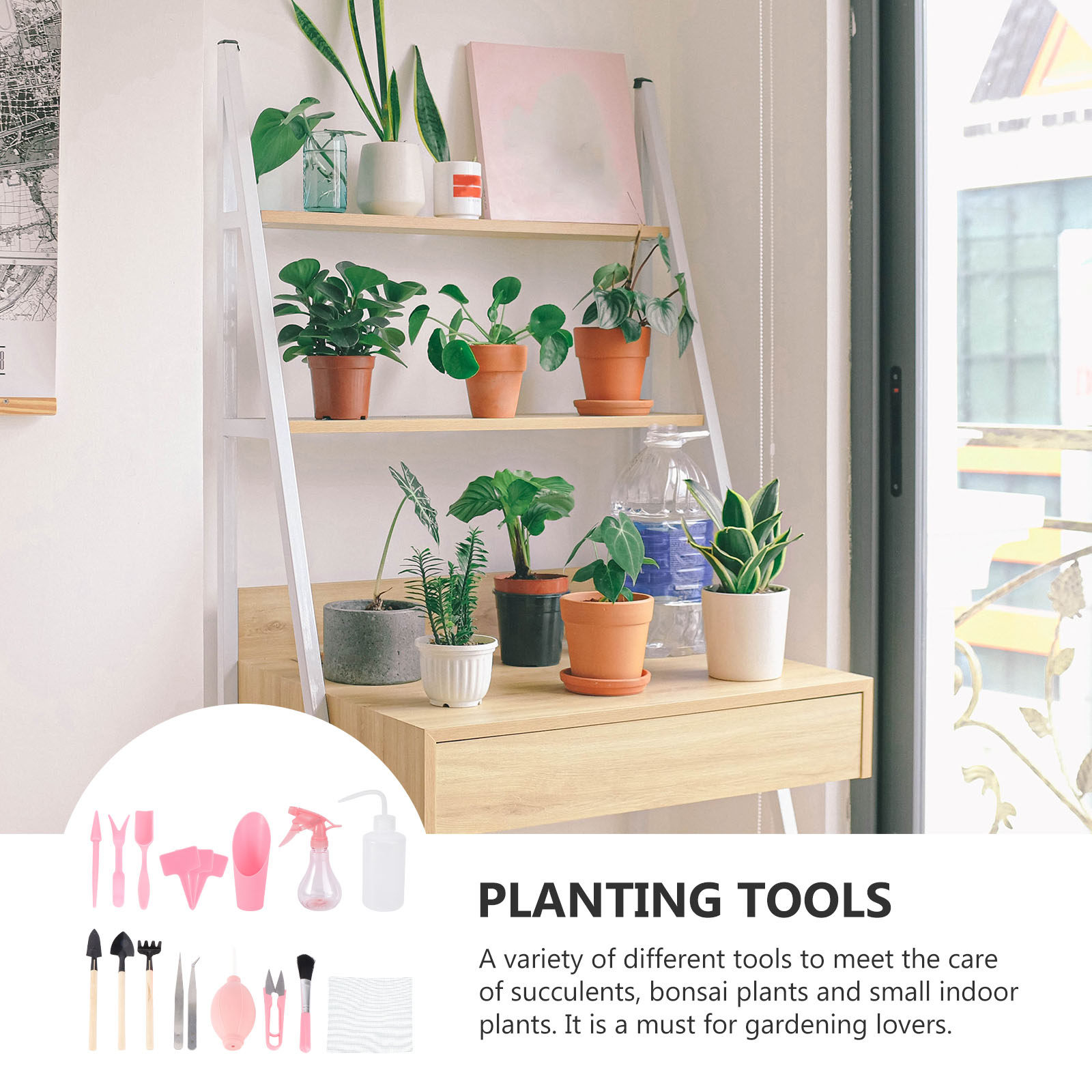 1Set Mini Succulent Planting T - Gardening Tools And Accessories ulasan dan harga