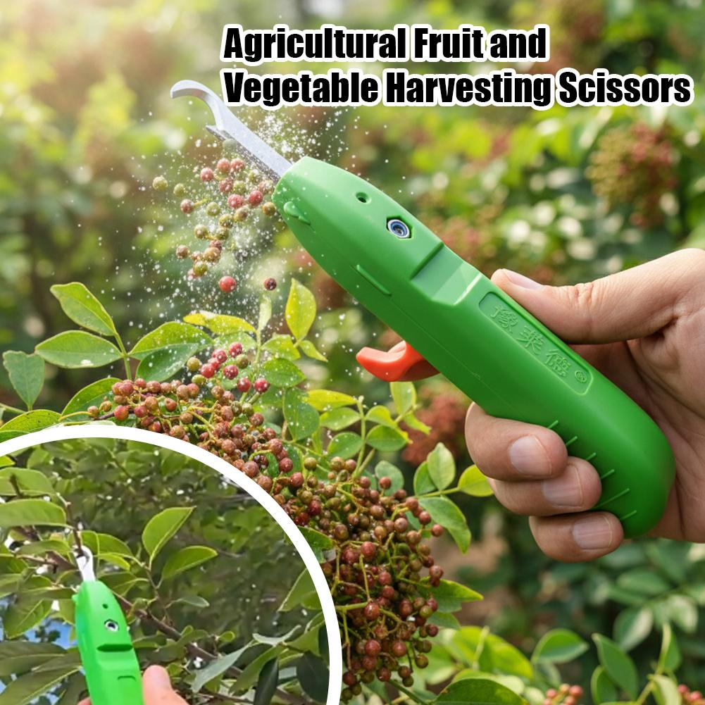 Fruit And Vegetable Picking Sh - Gardening Tools Scissors ulasan dan harga