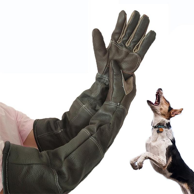 Pet Gloves Cowhide Leather Ant - Gardening Tools Gloves ulasan dan harga