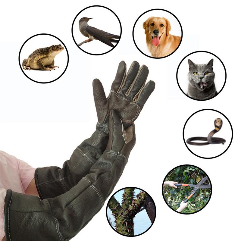 Pet Gloves Cowhide Leather Ant - Gardening Tools Gloves ulasan dan harga