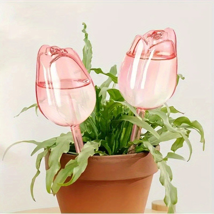 Transparent Thick PET Tulip Sh - Gardening Tools For Home ulasan dan harga