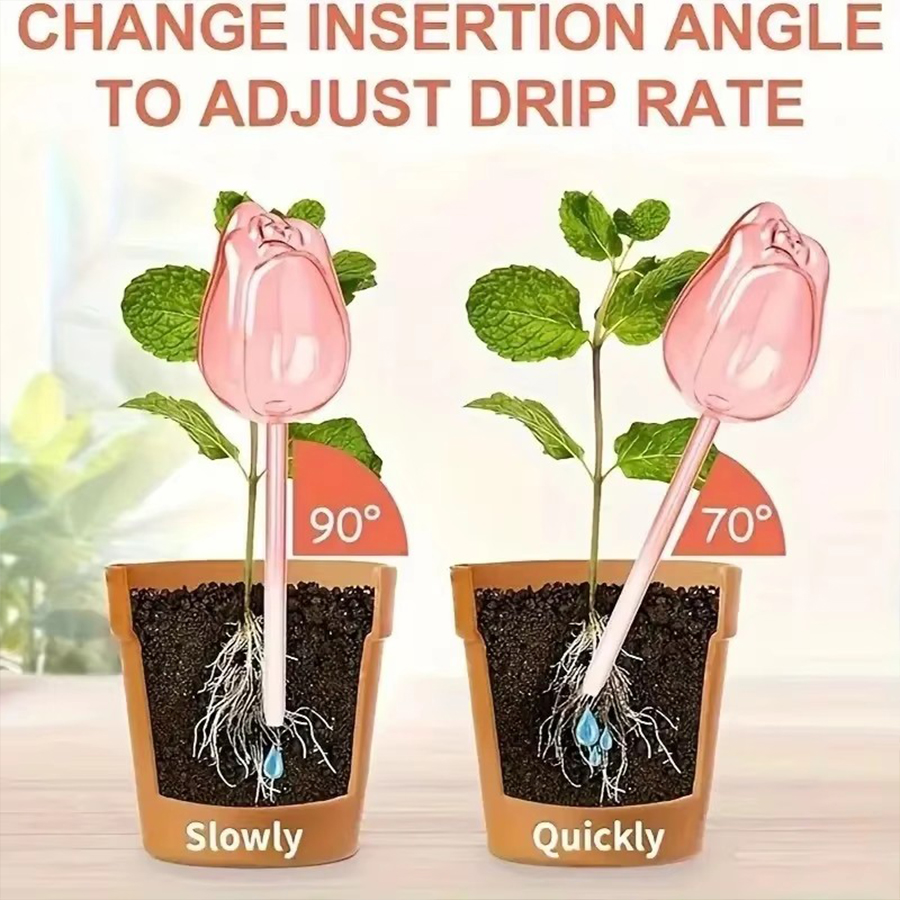 Transparent Thick PET Tulip Sh - Gardening Tools For Home ulasan dan harga
