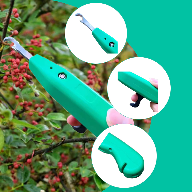Professional Pepper Picker Han - Gardening Tools Scissors ulasan dan harga