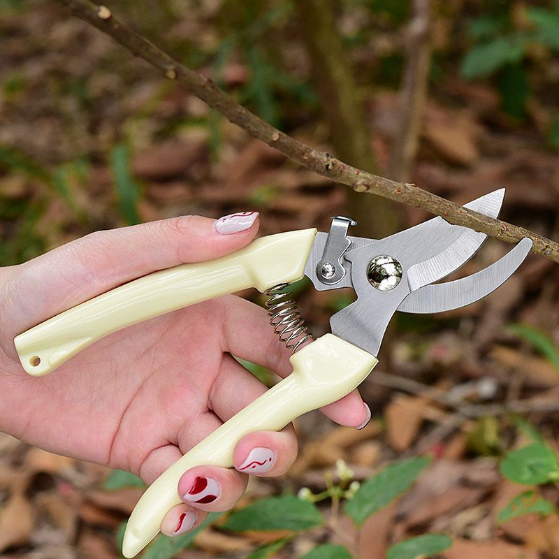 Labor‑Saving Garden Pruning Sh - Gardening Tools Scissors ulasan dan harga