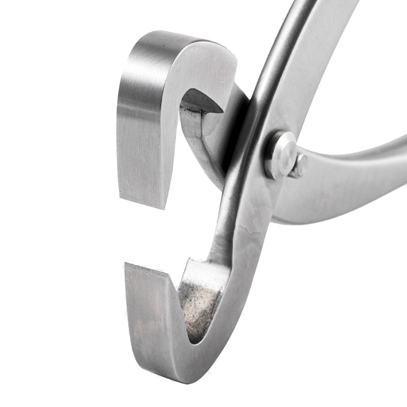 2pcs 210mm Stainless Steel Bon - Gardening Tools Gift Set ulasan dan harga