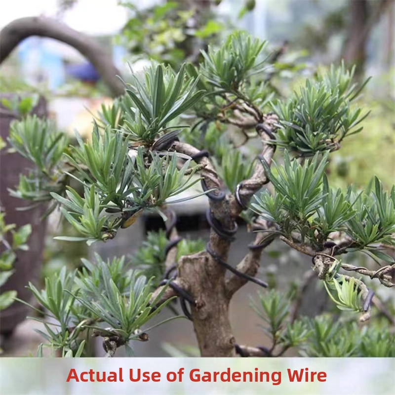 1.5MM Bonsai Wires Aluminum Bo - Gardening Tools And Accessories ulasan dan harga